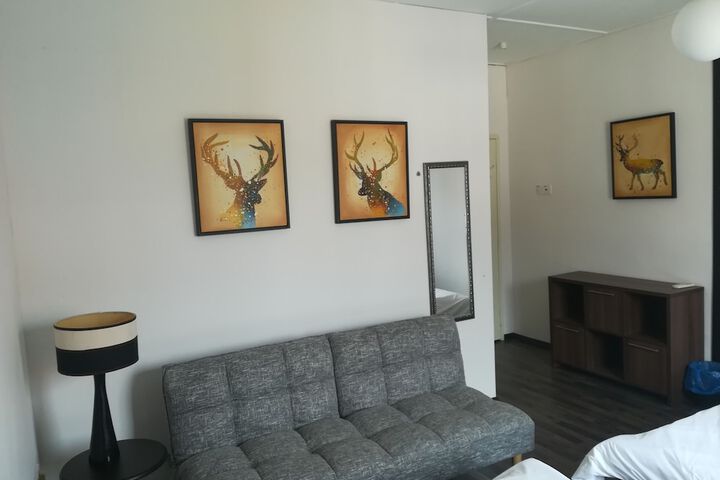 Photo 8