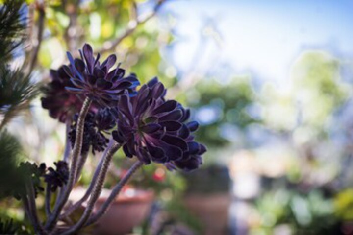 Hotel Exterior 9 of 24