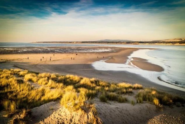 Beach 47 of 51