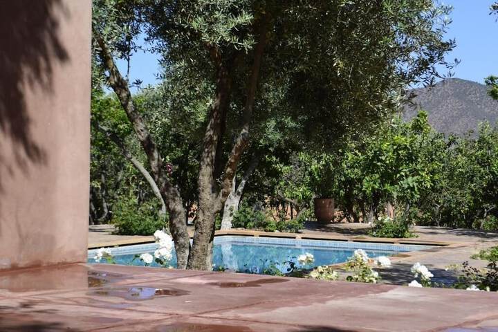 Pool 12 of 23