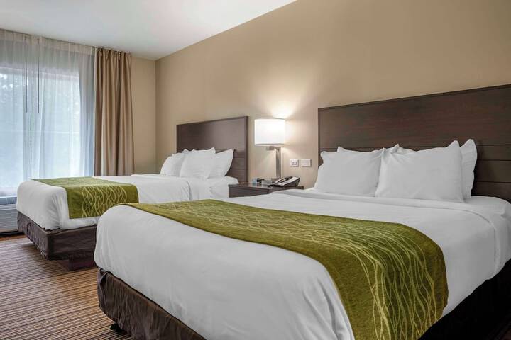 2 Queen Beds (1 of 22)