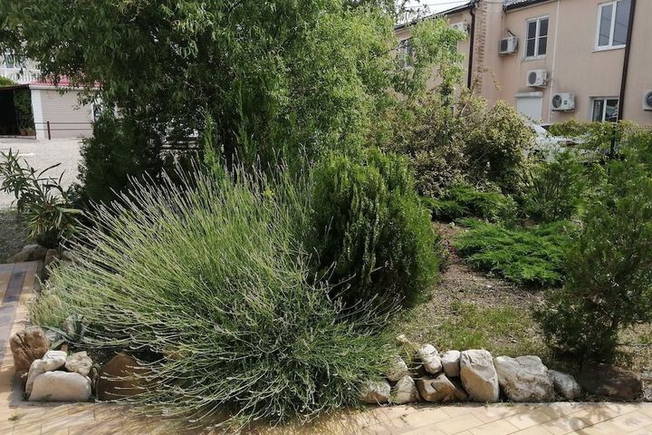 Property Grounds 16 of 22