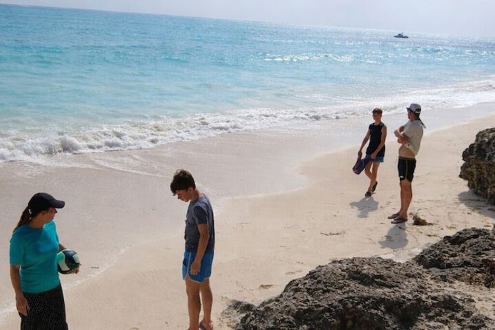 Beach 46 of 66