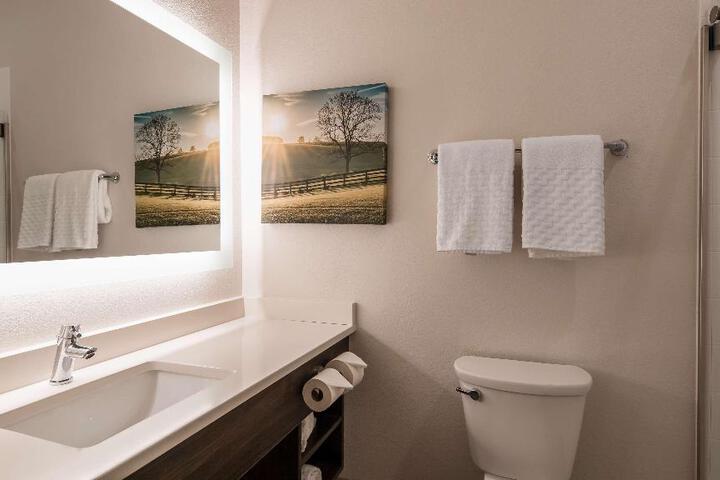 Accesssuite1 Kingbedmobilityaccesswalkinshowersofabedforonepersonrefrigeratornonsmokingfullbreakfast (6 of 24)