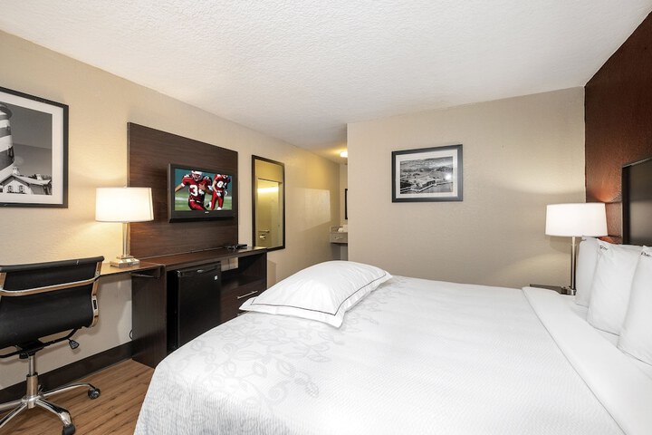 Standard | King Bed (6 of 17)