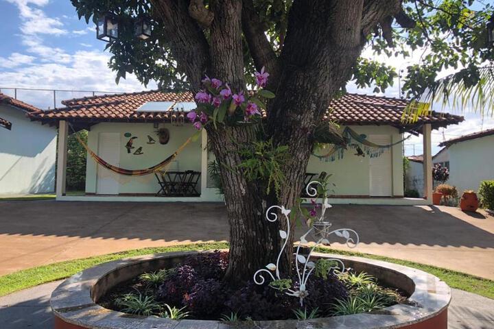 Photo 21