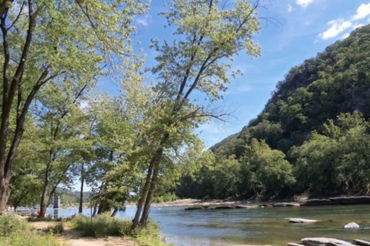 Property Grounds 29 of 38