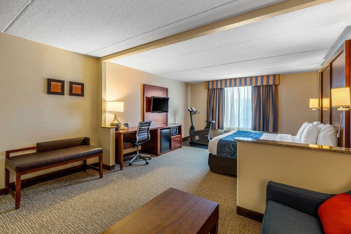 1 King Bed Suite (1 of 29)