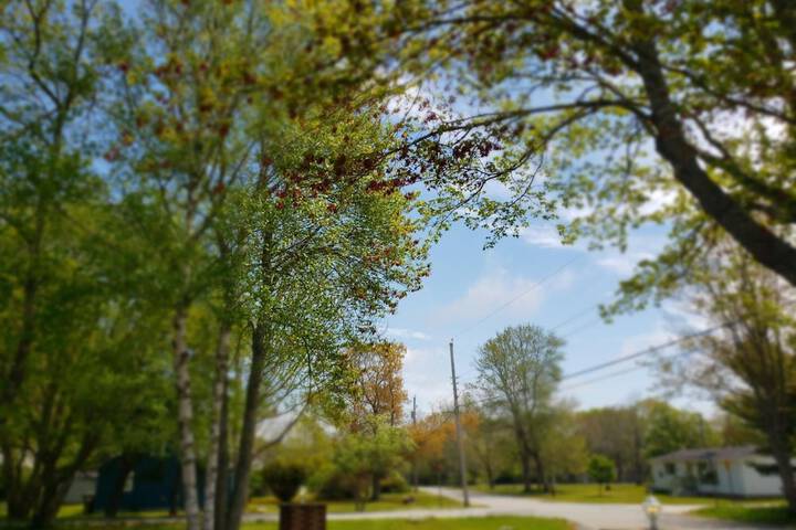 Property Grounds 20 of 32