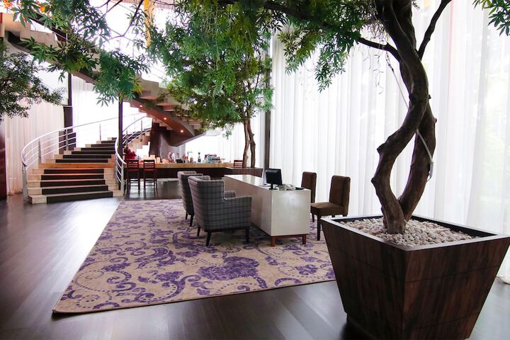 Entrance & Lobby
