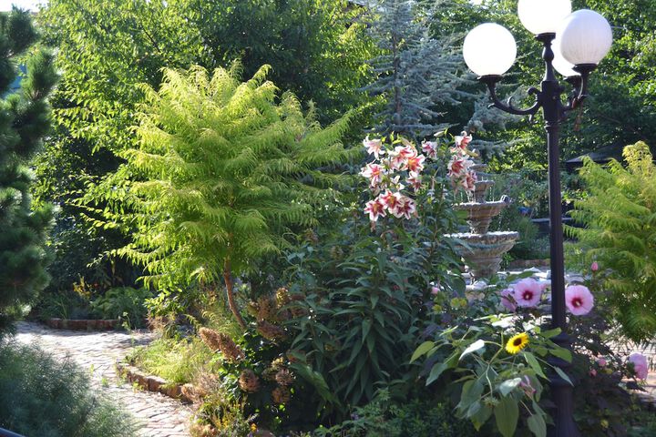 Garden view