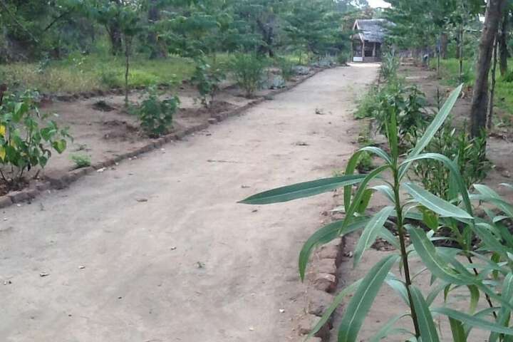 Property Grounds 16 of 17