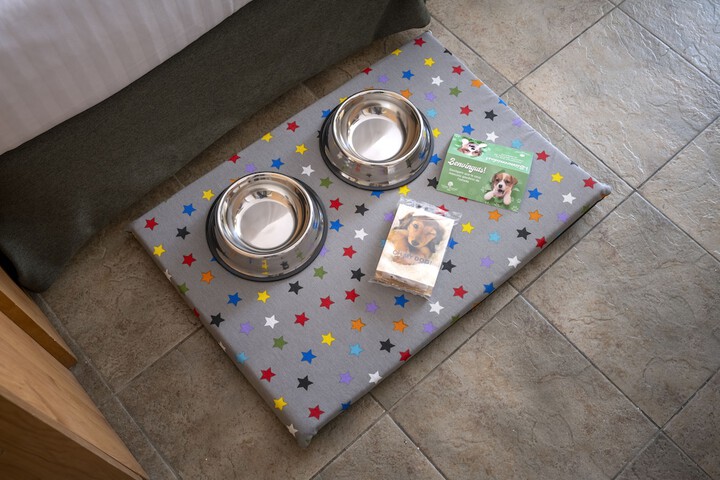Pet-friendly amenities