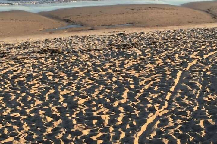 Beach 45 of 50
