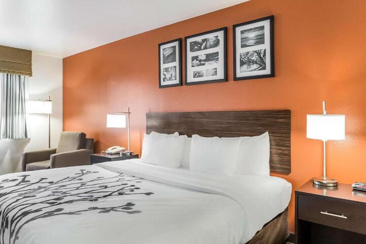 1 King Bed (14 of 19)