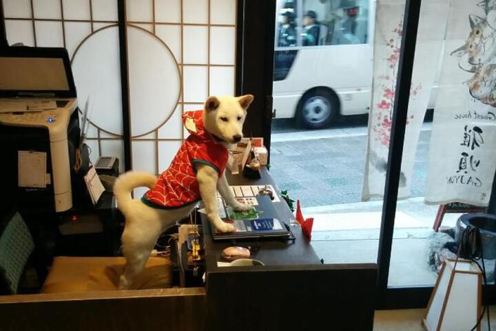 Photo 24