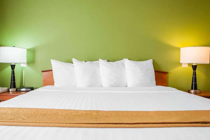 1 King Bed (10 of 21)