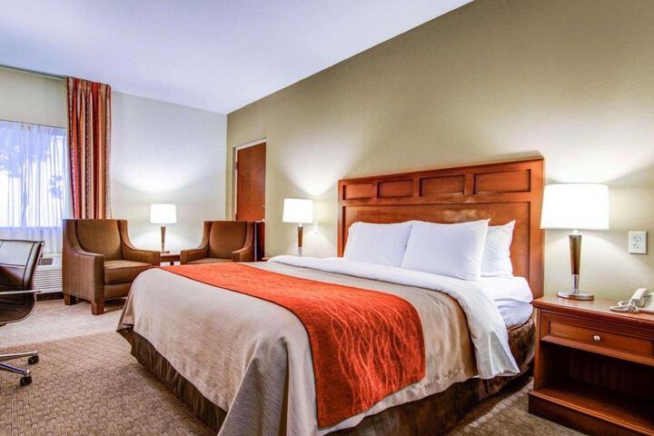 1 King Bed (7 of 8)