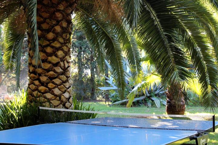 Property Grounds 16 of 26