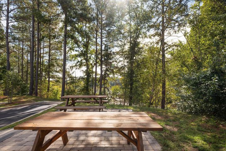 BBQ/picnic area