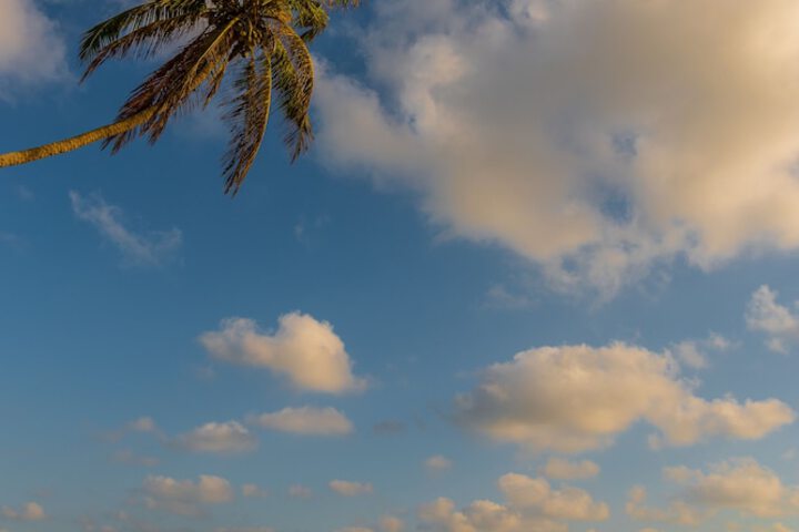 Beach 28 of 39