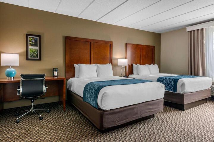 2 Queen Beds (7 of 19)