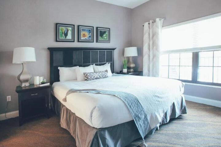 Studio King Bed (1 of 25)