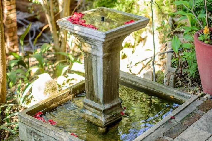 Property Grounds 56 of 81