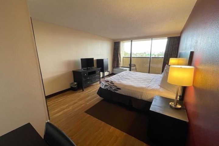 1 King Bed (6 of 10)