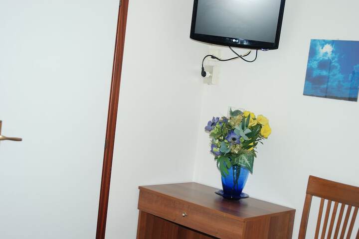 Television