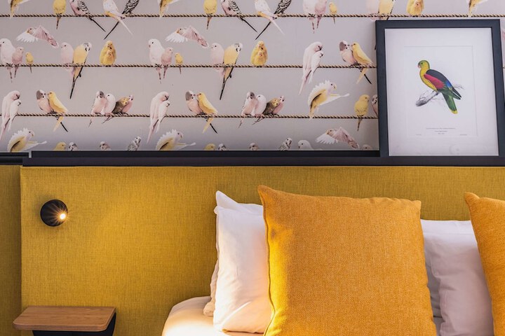 Room amenity