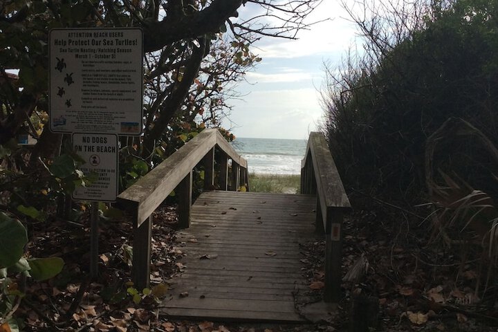 Beach 50 of 58