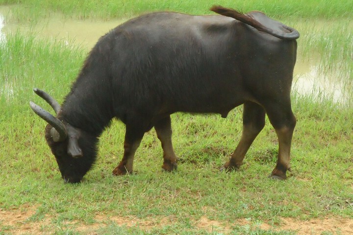 General 79 of 92