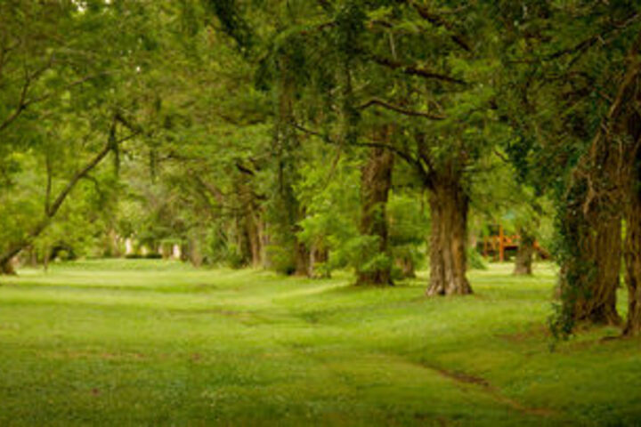 Property Grounds 75 of 90