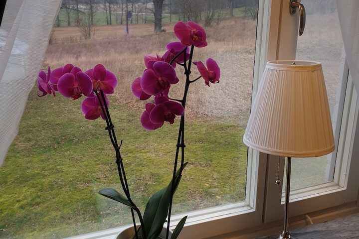 Room 17 of 49