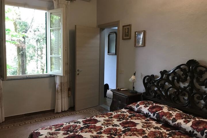 Room 6 of 57