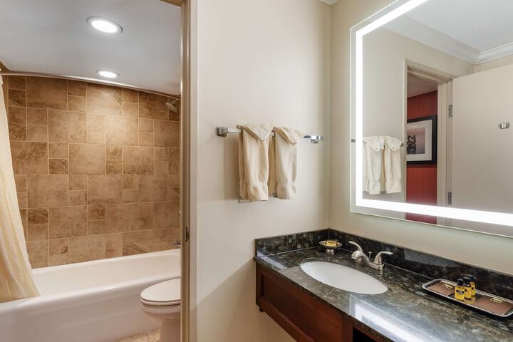 1 Queen Accessible Comm Assist Roll in Shower Microwave, Refrigerator Full Breakfast (8 of 18)
