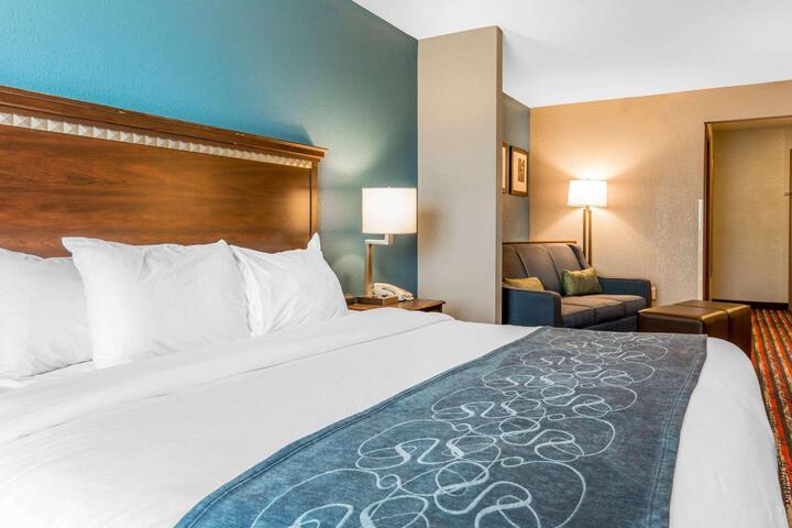 Business King Bed Accessible (5 of 5)