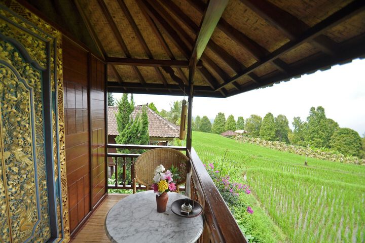 Terrace/Patio 23 of 118