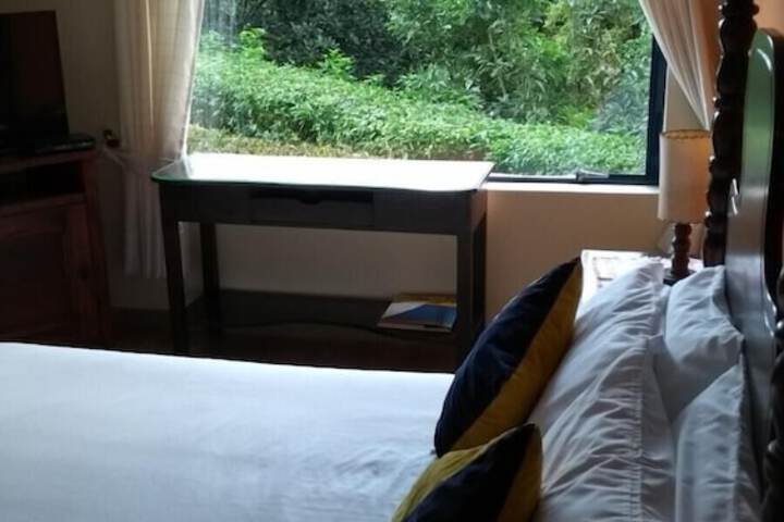 Room 12 of 42