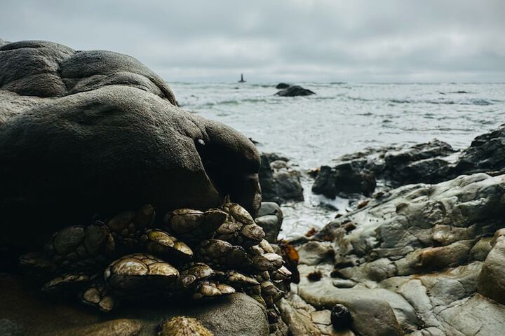 Beach 40 of 46