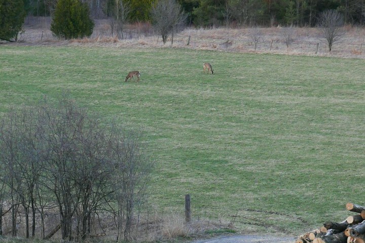 Property Grounds 35 of 52