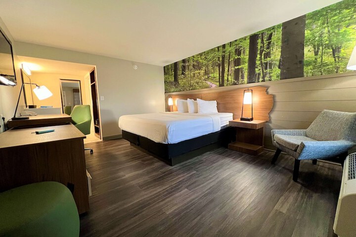 1 King Bed Theme Room Work Desk Coffee Maker Iron and Ironing Board Walk in Shower (1 of 9)