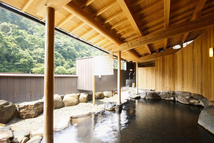 Wellness Treatments