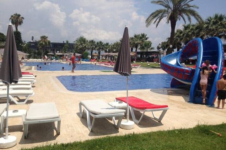 Pool 1 of 6