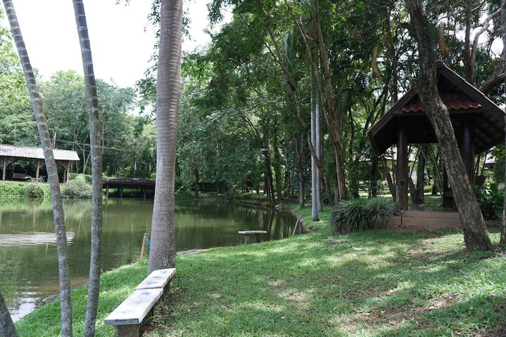 Property Grounds 19 of 25