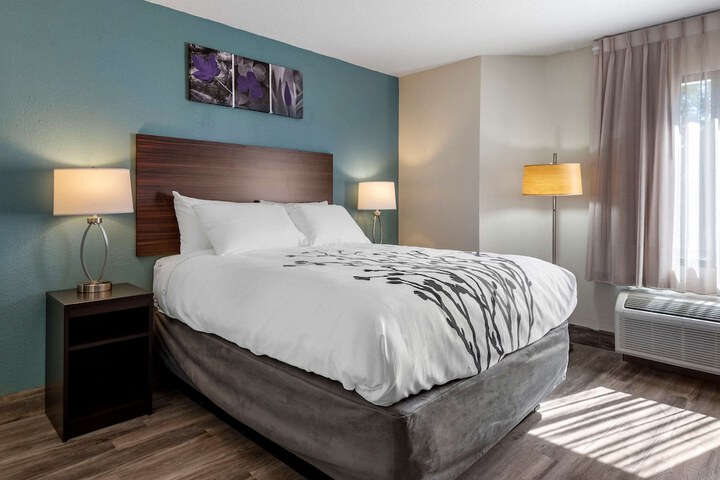 Queen Bed Accessible (8 of 13)