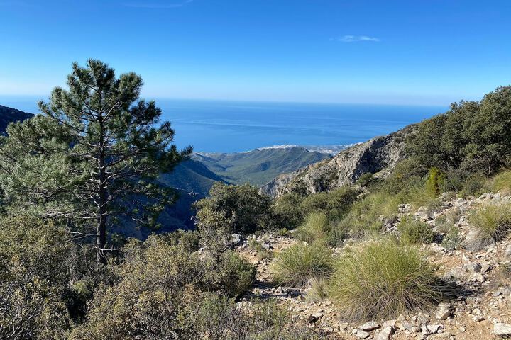 Hiking