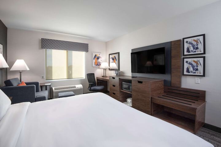 1 King Bed Accessible (12 of 15)