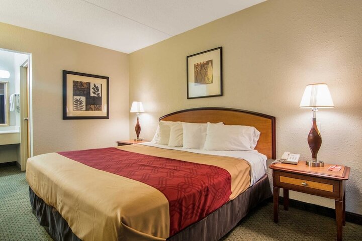 1 King Bed (6 of 11)